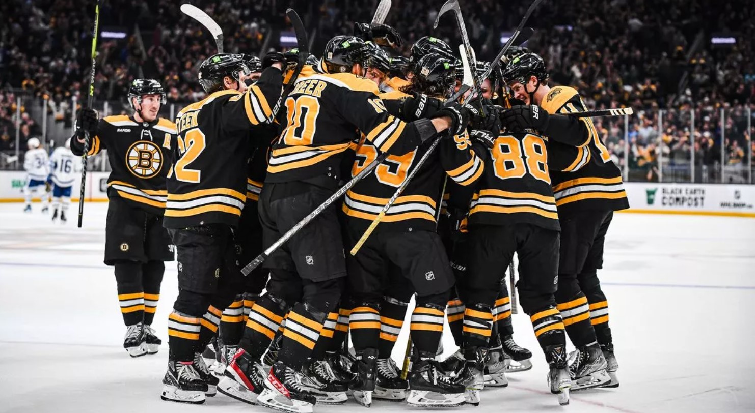 Boston Bruins picture