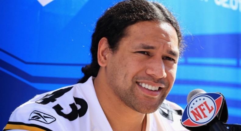Troy Polamalu picture