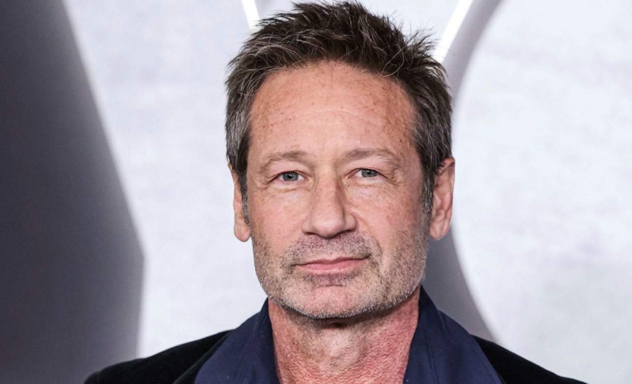 David Duchovny Phone Number, Email ID, Address, Fanmail, Tiktok and More